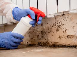 Forensic Mold Investigation in Basehor, KS